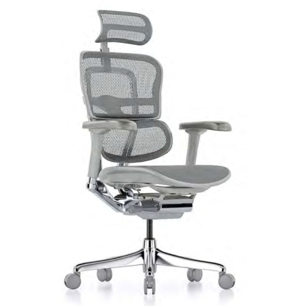 Silla ejecutiva REQUIEZ ERGOHUMAN RM-9100G gris con respaldo alto en mesh y soporte lumbar flotante.