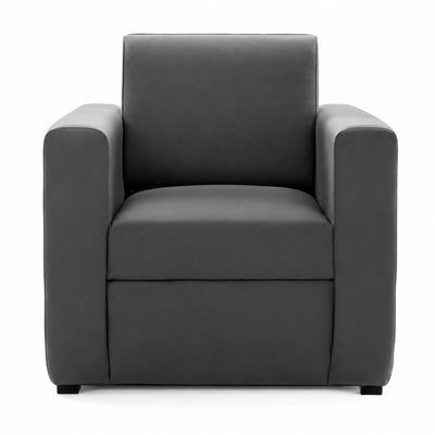 Sofá para Sala de Espera - GEBESA COMFORT - 1 Plaza - Asiento y Respaldo Tapizado - GDC280P1TP - GEBESA - NOGAL BEAT - Sillón Ocasional