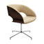 Silla Comercial Ergonómica para Restaurante y Sala de Juntas - INFINITI CHARLOTTE 112-24300 - Varios Colores - Doble Carcasa en Fresno Tapizable con Base de 4 Puntas en Aluminio Pulido