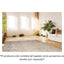 TAPETE LAVIN BALLY N2008 | Tapete Decorativo para Recepción Hotel Hogar Departamento Sala | TOUPE MARFIL | Varias Medidas | Rectangular | Interior | Hotel Habitación Airbnb Sala Recamara Estudio