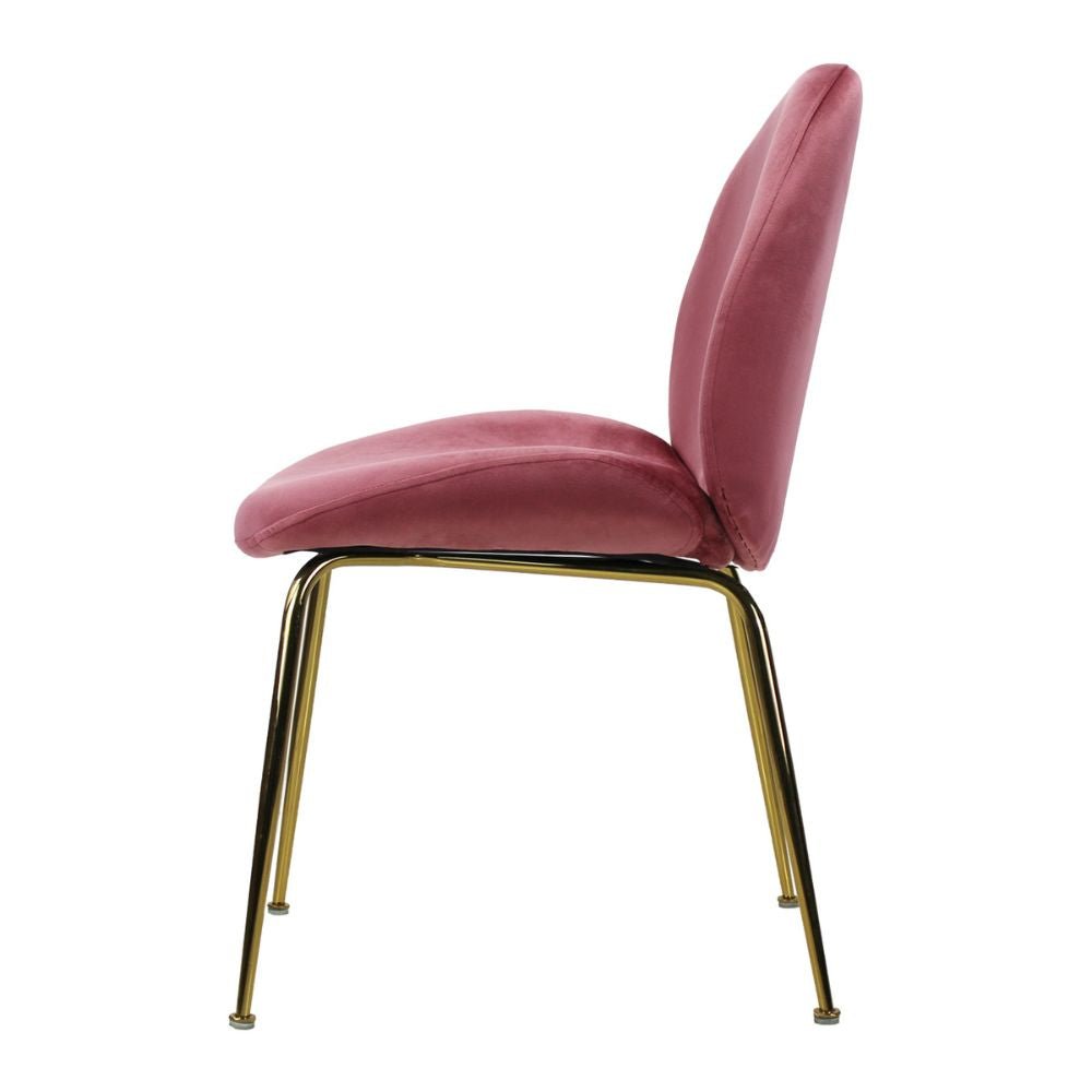 SILLA KINGSTRONG MOB-039B SILLA KINGSTRONG MOB-039B TREVISO VELVET SILL2242337 | Silla Ocasional Comercial Decorativa | Base 4 Puntas Metal | Tapizado Tela | Interior