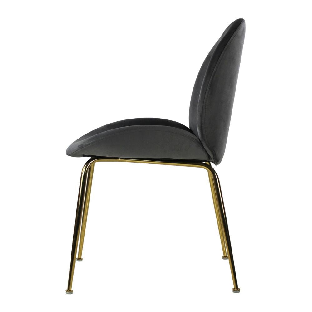 SILLA KINGSTRONG MOB-039B SILLA KINGSTRONG MOB-039B TREVISO VELVET SILL2242337 | Silla Ocasional Comercial Decorativa | Base 4 Puntas Metal | Tapizado Tela | Interior