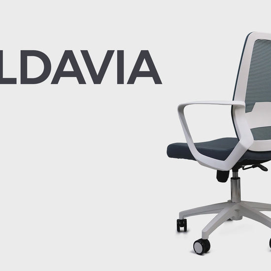 Silla Ejecutiva para Oficina | Base en Nylon | Tapizado Malla Coreana | Interior Institucion Compañia Organizacion Empresa Empresarial Ceo Laboral Dirección Directiva Oficina Despacho Bufete Alta Direccion Gerencia SILLA NOGAL BEAT MOLDAVIA EJECUTIVO