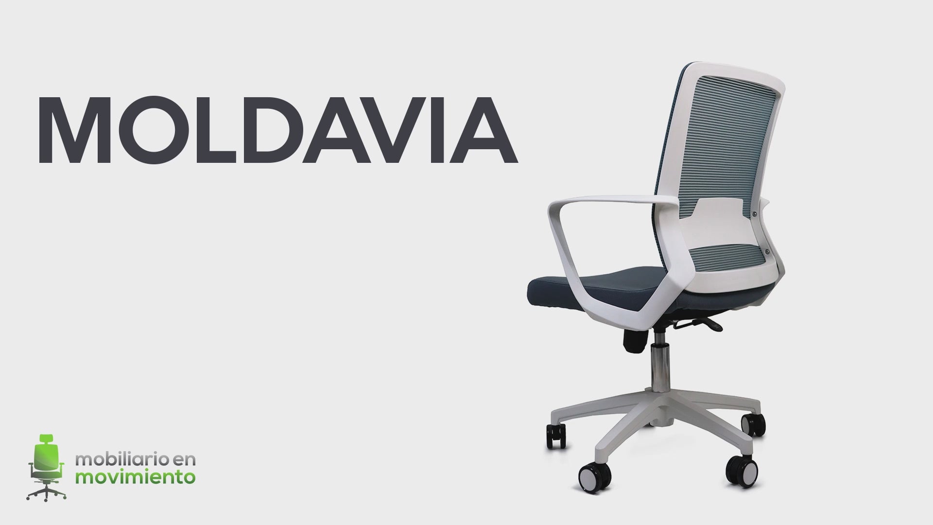 Silla Ejecutiva para Oficina | Base en Nylon | Tapizado Malla Coreana | Interior Institucion Compañia Organizacion Empresa Empresarial Ceo Laboral Dirección Directiva Oficina Despacho Bufete Alta Direccion Gerencia SILLA NOGAL BEAT MOLDAVIA EJECUTIVO