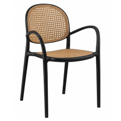 Negro / Café