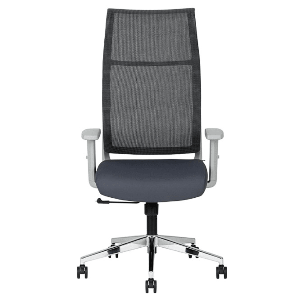 Silla ejecutiva Techno Ekho Gray gris con respaldo en malla y base cromada de 5 puntas.
