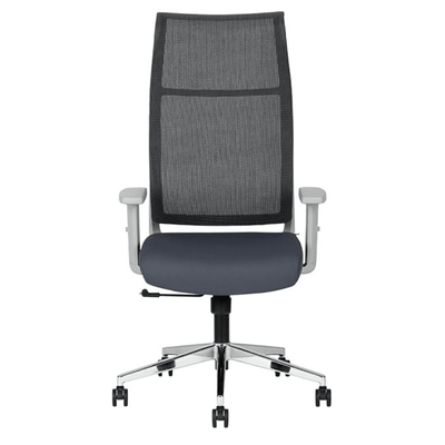 Silla ejecutiva Techno Ekho Gray gris con respaldo en malla y base cromada de 5 puntas.