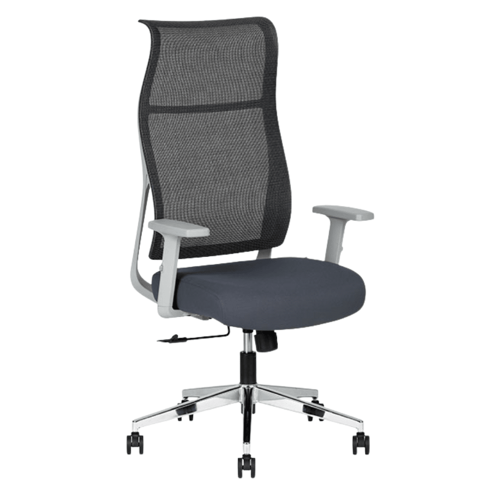 Silla ejecutiva Techno Ekho Gray gris con respaldo en malla y base cromada de 5 puntas.