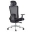 SILLA GERSA BIO - A CROMADA | Silla Ejecutiva Alta para Oficina | Base Estrella Rodajas | Poliuretano Inyectado | Interior - BIO - A CROMADA - GERSA - NOGAL BEAT - Sillas de oficina