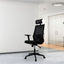 SILLA KINGSTRONG CARRARA 241A SILL0903731 | Silla Directiva Oficina Uso de Oficina | Giratoria | Tapizado Mesh | Interior - SILL0903731 - Mundo In - NOGAL BEAT - Sillas de oficina