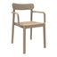 SILLA RESOL ELBA ARMCHAIR | Silla Ocasional para Cafetería Jardín | Inyectado PP | Protección UV | Interior + Exterior - 04499 - Resol - NOGAL BEAT - silla