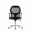 Techno Silla App Respaldo Bajo Poliuretano Inyectado Base Estrella Nylon - APP RESPALDO BAJO-BC - Techno - NOGAL BEAT - Sillas para oficina